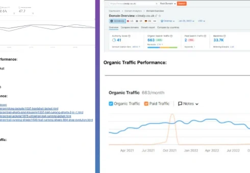 Cimaip’s SEO Success: From Low Visibility to 210% Growth