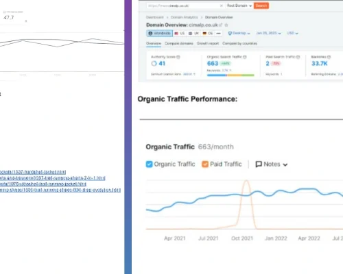 How SEOBosses Helped Cimalp Boost Organic Traffic